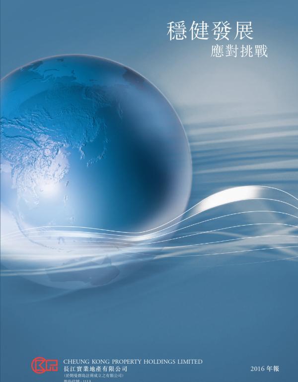 2016 全年业绩报告